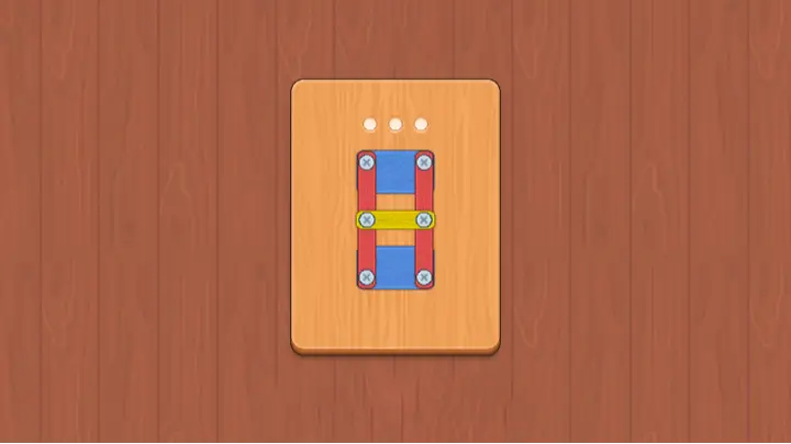 Nuts and Bolts Puzzle